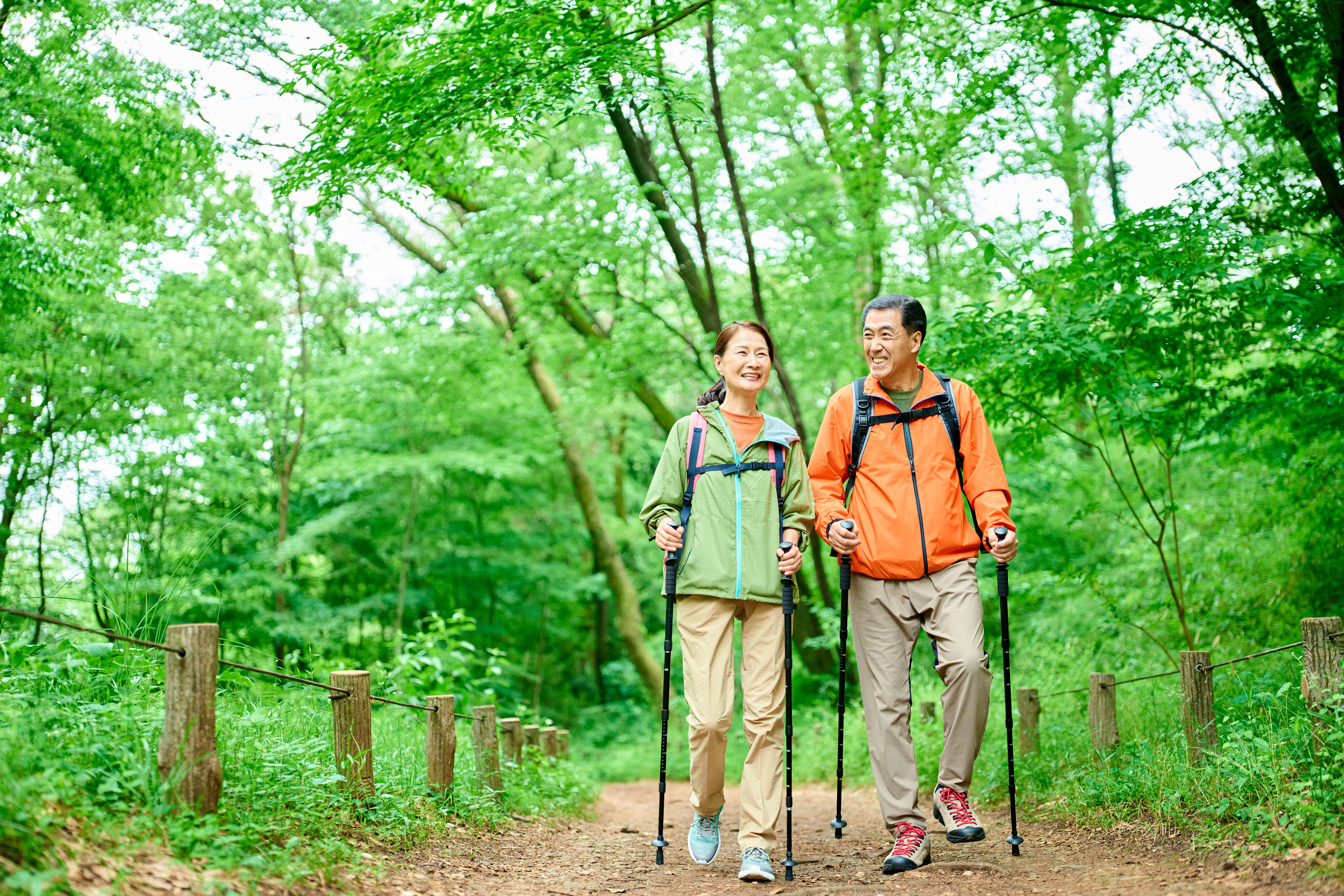 初夏の山でトレッキングするシニア夫婦