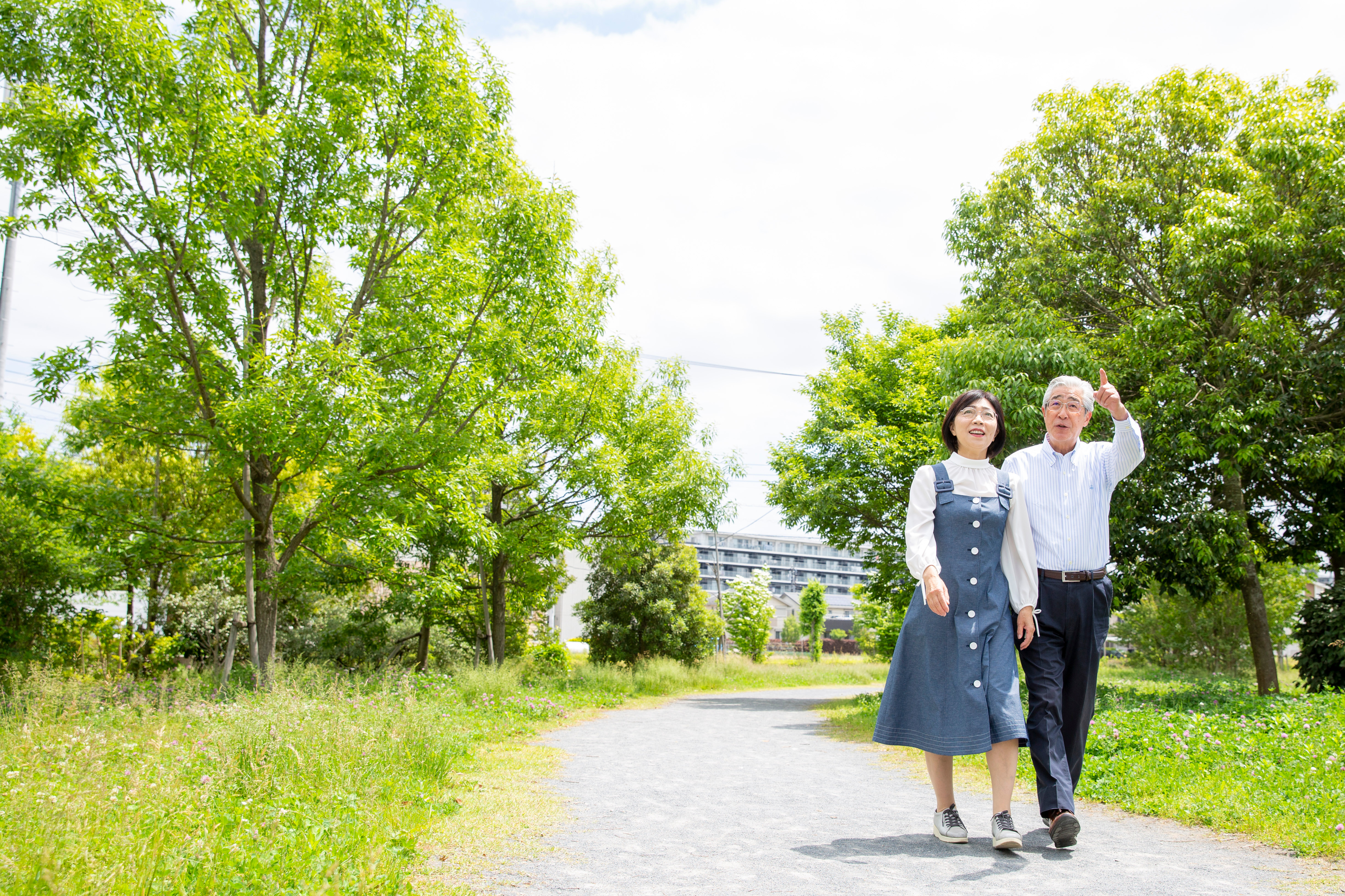 新緑の公園を散歩する日本人のミドルの夫婦