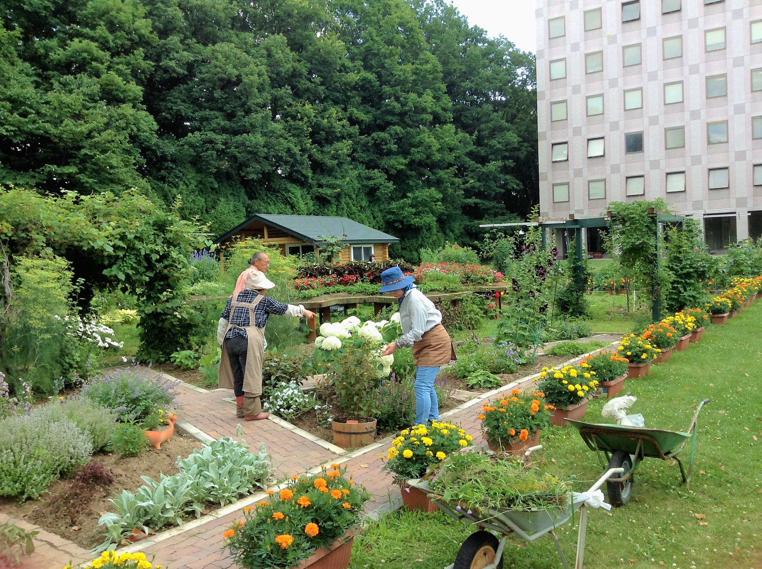 2026イネーブルガーデン＆スマイル花壇　園芸福祉活動